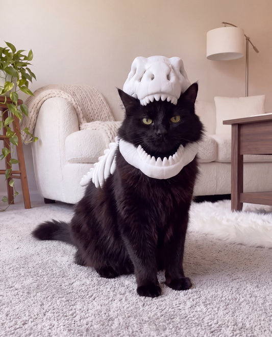 Rawr Costume