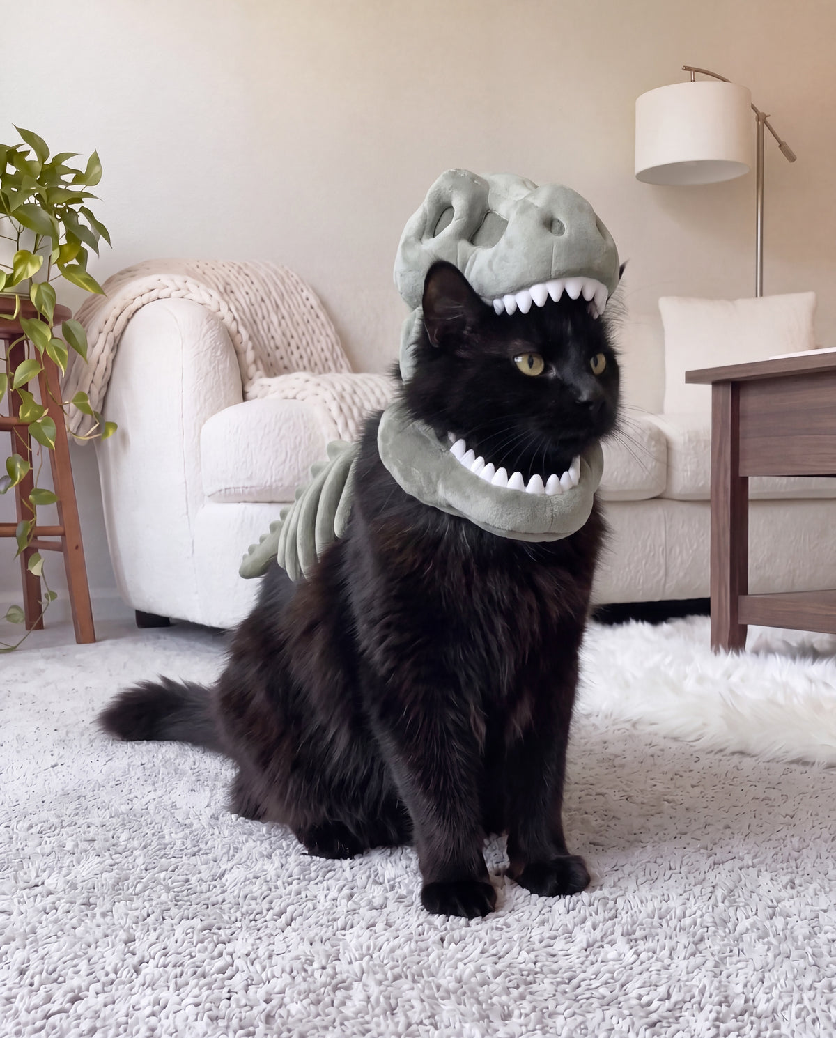 Rawr Costume